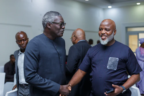 ECOWAS Gender Observatory by Yushahu Yussif Azara