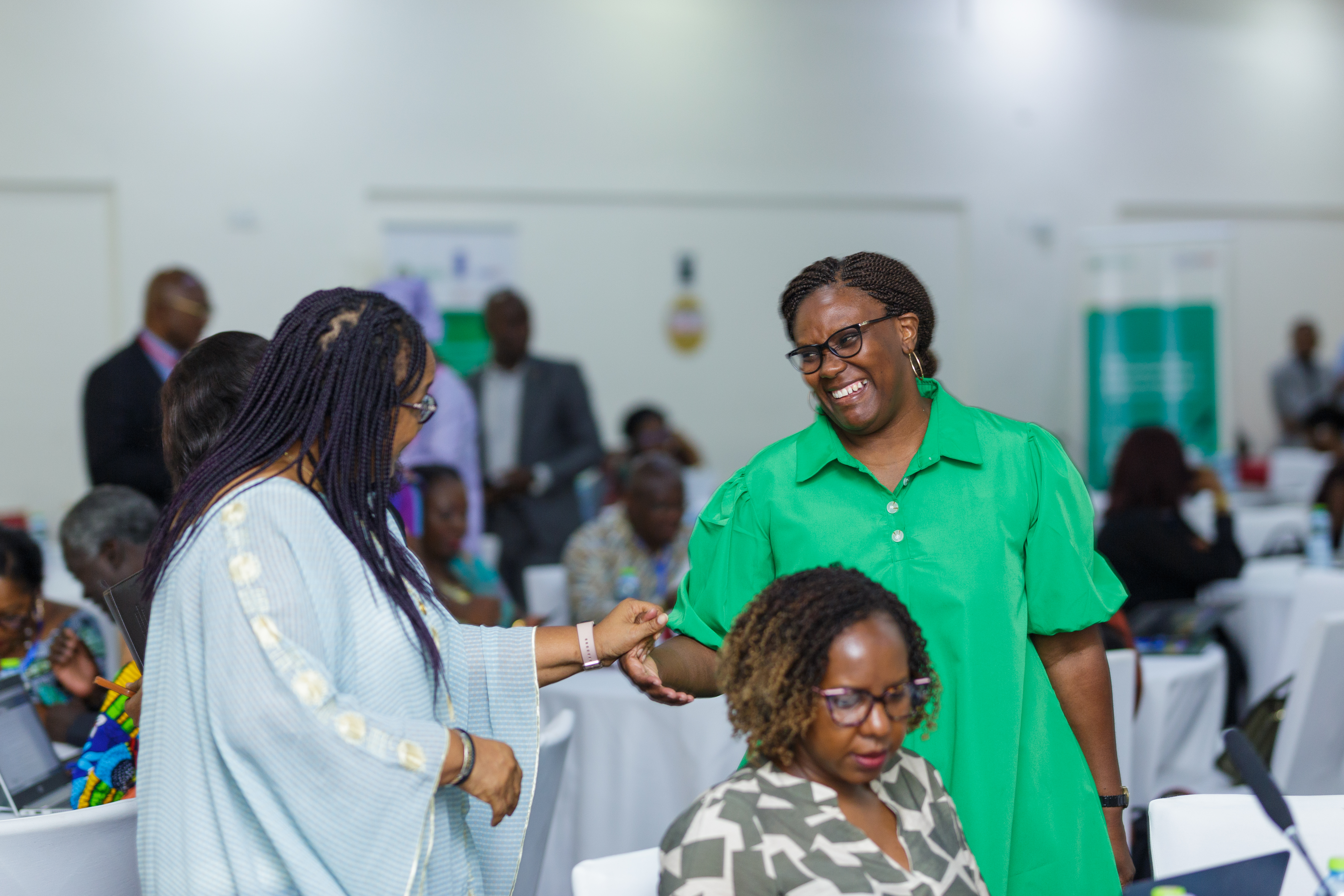 ECOWAS Gender Observatory by Yushahu Yussif Azara