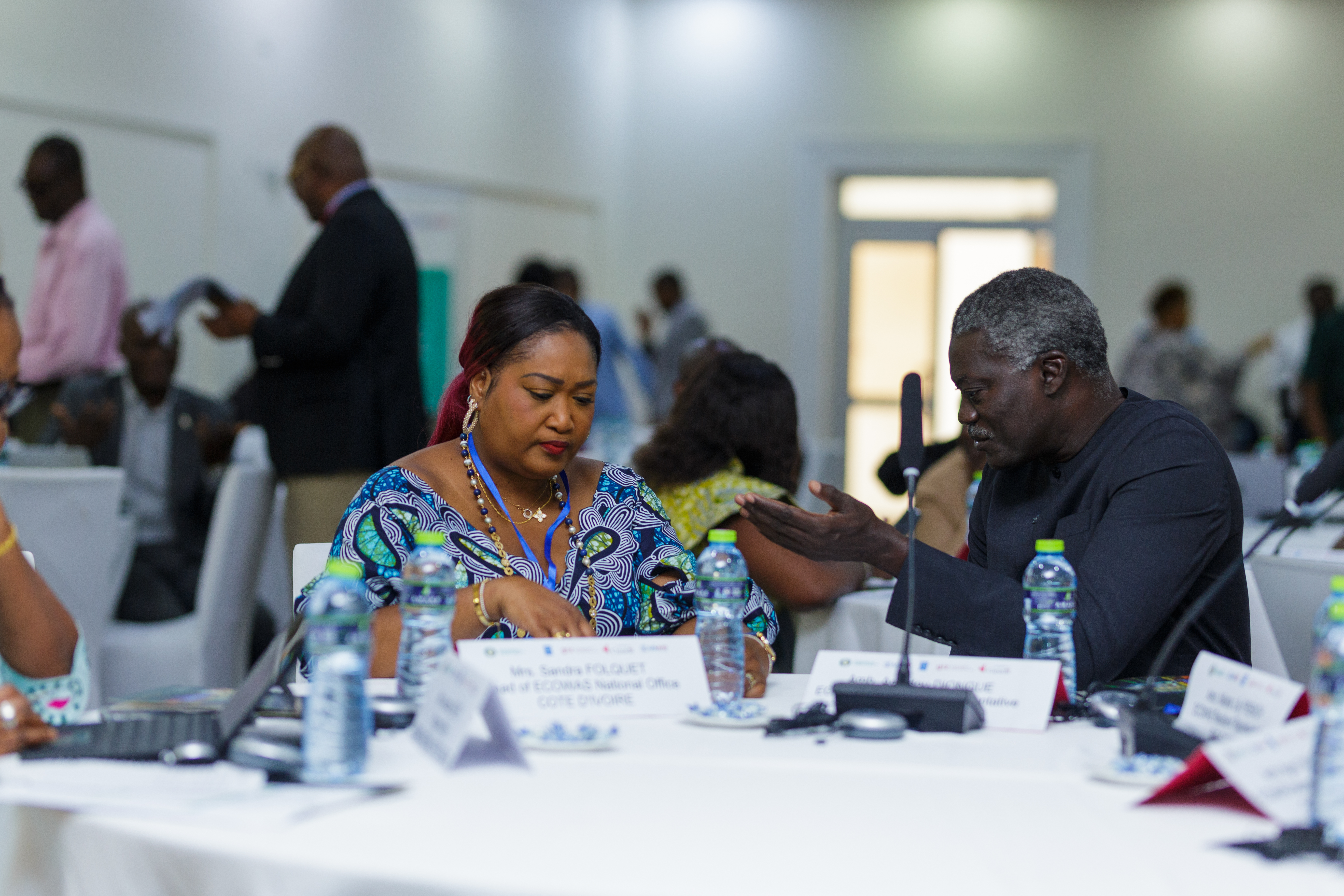 ECOWAS Gender Observatory by Yushahu Yussif Azara