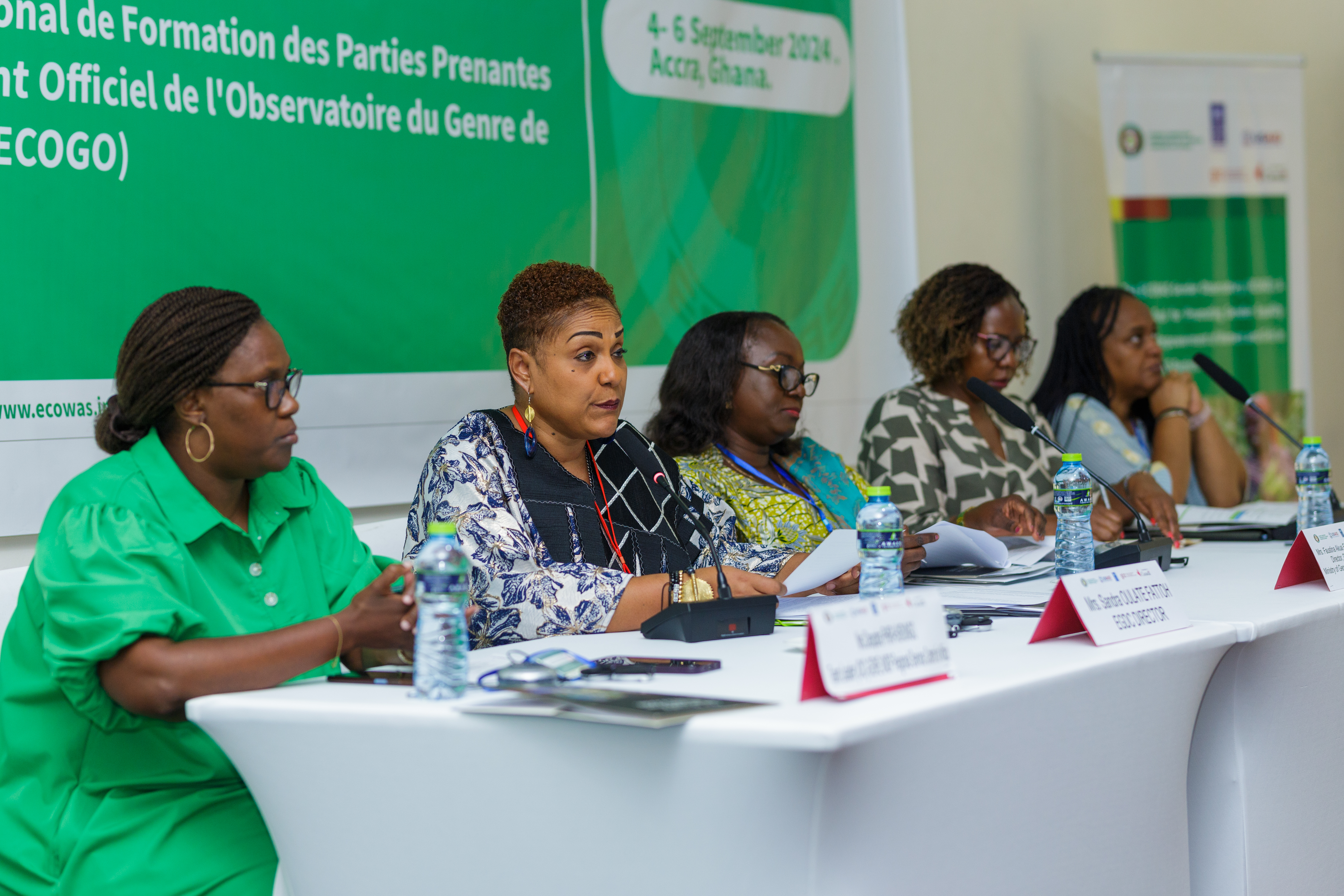 ECOWAS Gender Observatory by Yushahu Yussif Azara